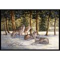 Micasa Wolves by Daphne Baxter Indoor or Outdoor Mat, 24 x 36 MI11011